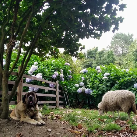 Anselma, Casa Compartida Homestay szállás Pontevedra