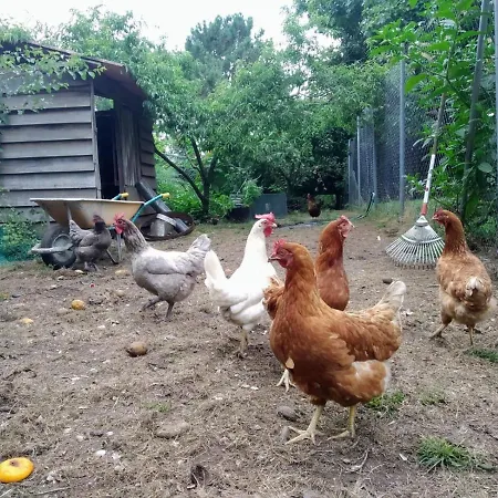 Anselma, Casa Compartida Homestay szállás Pontevedra