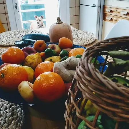 Anselma, Casa Compartida