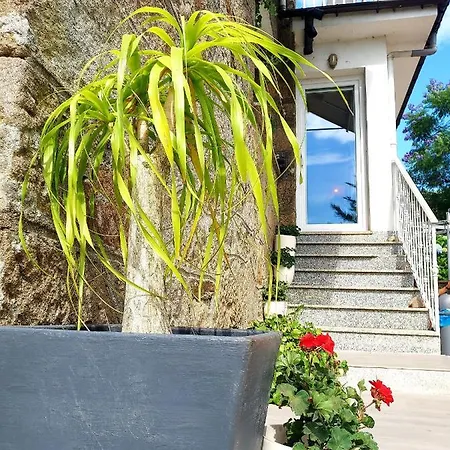 Anselma, Casa Compartida Pontevedra