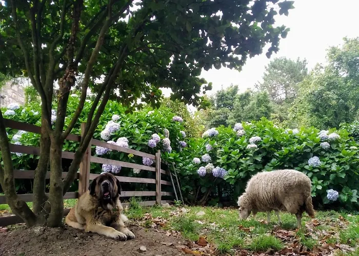Anselma, Casa Compartida Δωμάτια σε οικογενειακή κατοικία Ποντεβέντρα