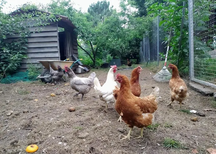 Anselma, Casa Compartida Δωμάτια σε οικογενειακή κατοικία Ποντεβέντρα