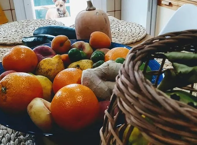 Anselma, Casa Compartida