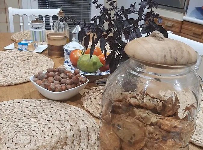 Δωμάτια σε οικογενειακή κατοικία Anselma, Casa Compartida *